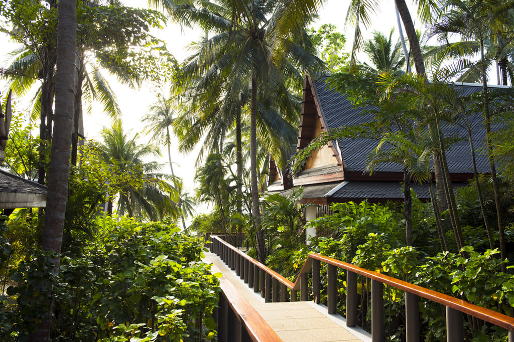 phuketpuri - thailand