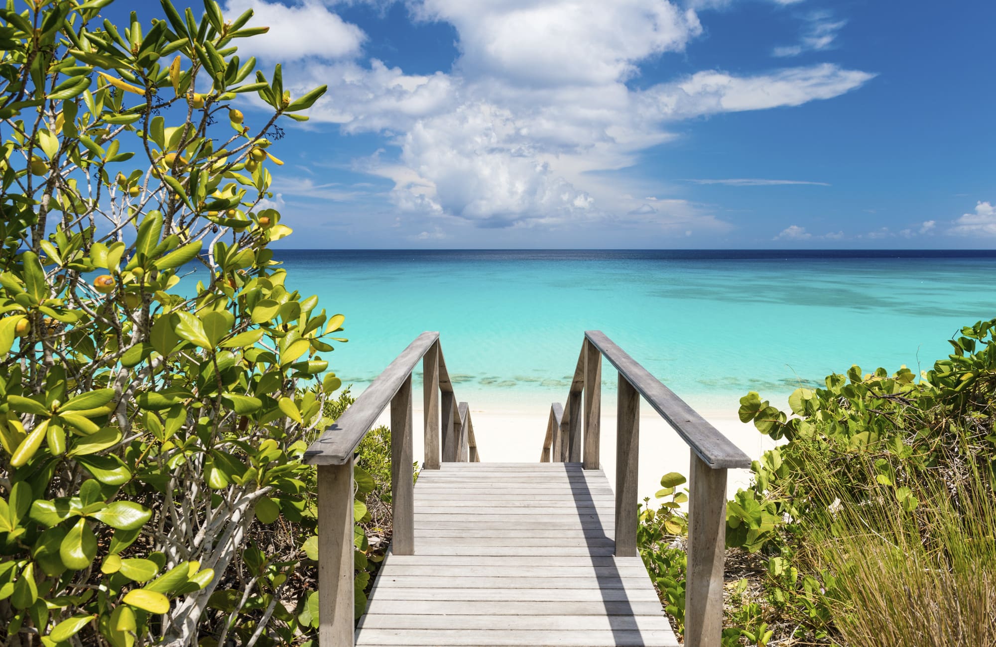 provid - turks & caicos